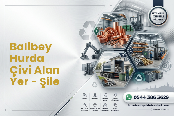 Balibey Hurda Çivi Alan Yer - Şile