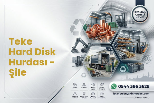 Teke Hard Disk Hurdası - Şile